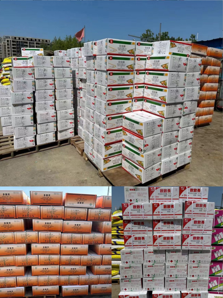 技術(shù)服務展示